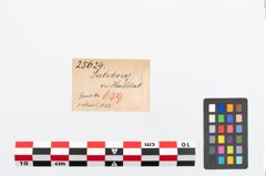 Etikett zu Bronzerollenkopfnadel (NHMW-PRAE-025624)